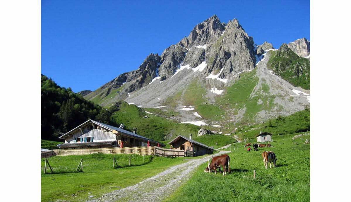 Bel Appartement Au Decor Montagnard - 80M2 Les Contamines-Montjoie Exteriör bild